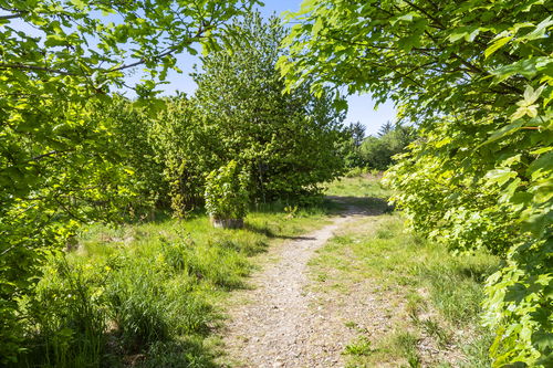 Lejebolig på Hørparken 7, 2. 216., 6000 Kolding